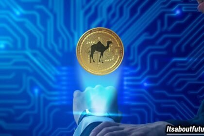 Camel Activate Single Crypto