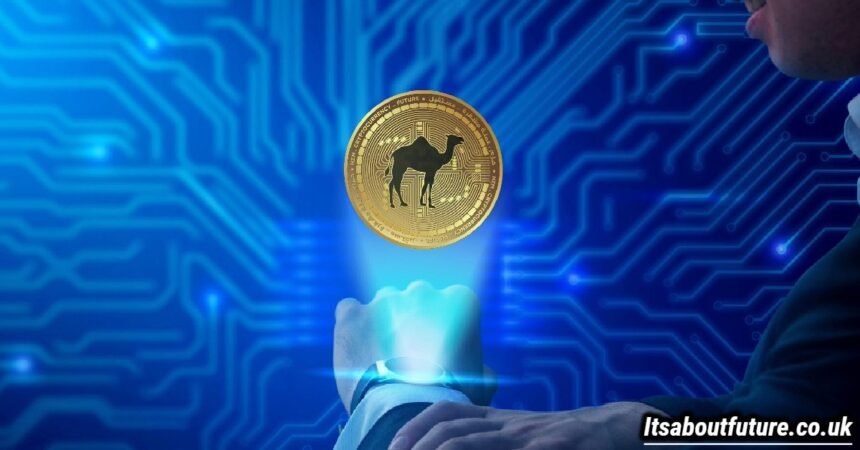 Camel Activate Single Crypto