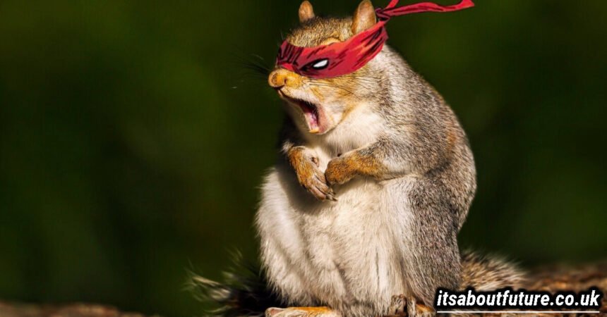 What Happened to the Ninja Squirrels Guild on Reddit